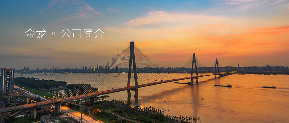 重慶電線(xiàn)電纜
